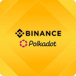 Binance DOT