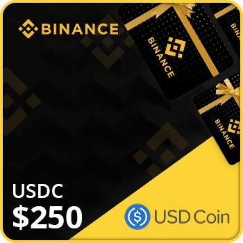 Binance Gift Card (USDC) $250 product image