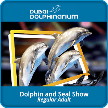 Dubai Dolphinarium Dolphin and Seal Show - Regular Adult product image