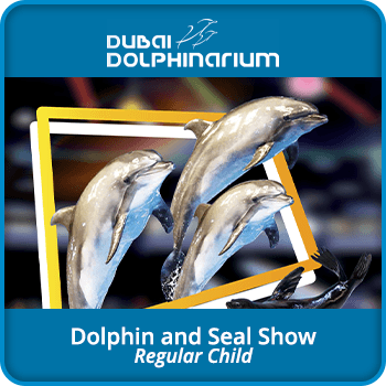 Dubai Dolphinarium Dolphin and Seal Show – Regular Child product image