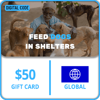 Feed stray dogs in shelters Gift Card GLOBAL 50 USD product image