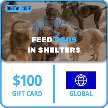Feed stray dogs in shelters Gift Card GLOBAL 100 USD product image