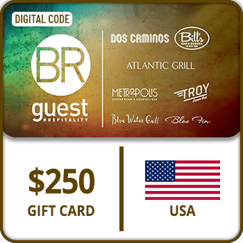 BR Guest Hospitality Gift Card USA 250 USD product image